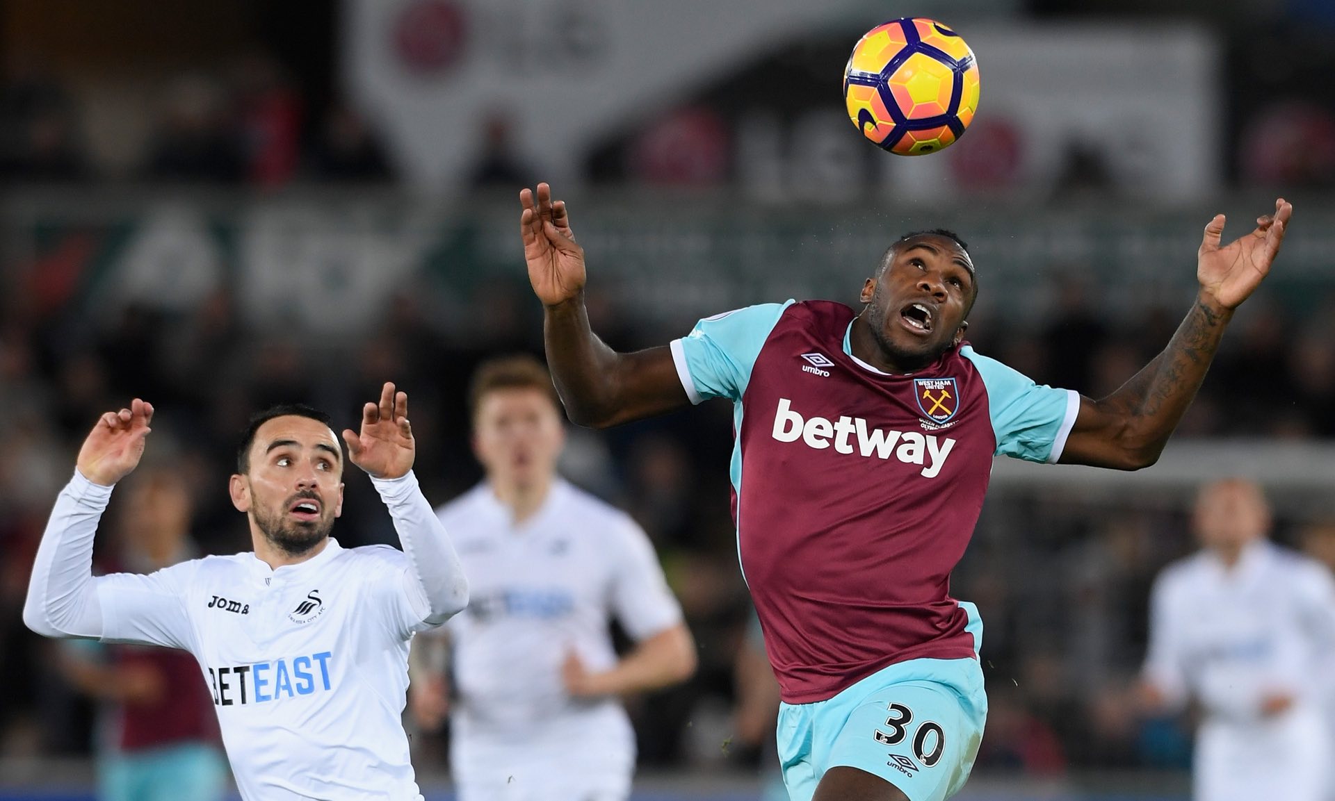 術豐富性與 術豐富性與